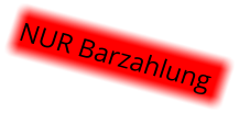 NUR Barzahlung